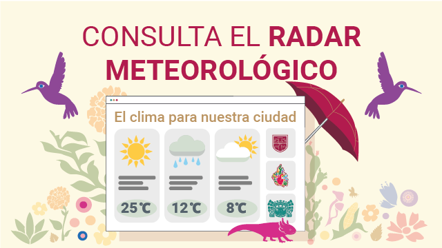 Consulta el radar meteorológico 🌍🌦️