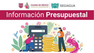 Informacion Presupuestal