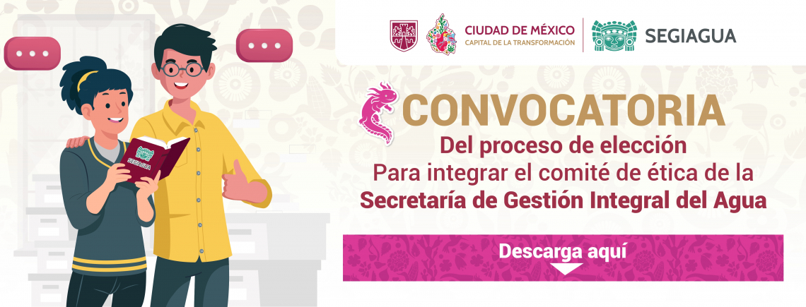 CONVOCATORIA DEL PROCESO