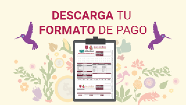 Descarga  formato de pago