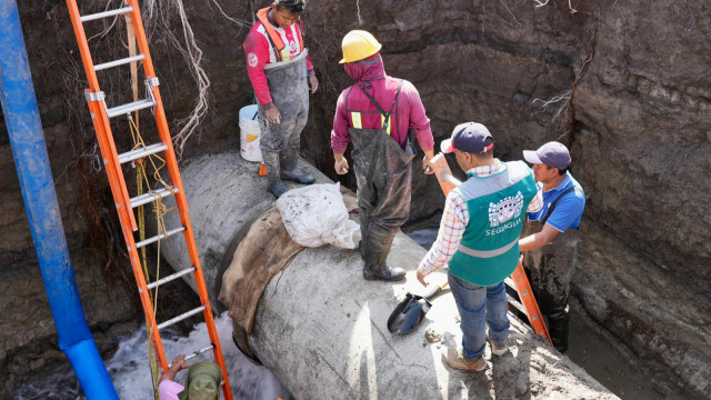 WhatsApp Image 2025-11-04 at 8.11.40 PM.jpeg